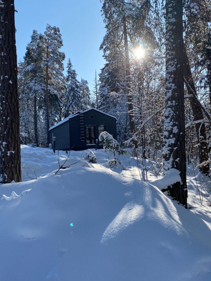 Tammikon Tupa Vila Tuusula Exterior foto